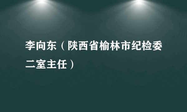 李向东（陕西省榆林市纪检委二室主任）