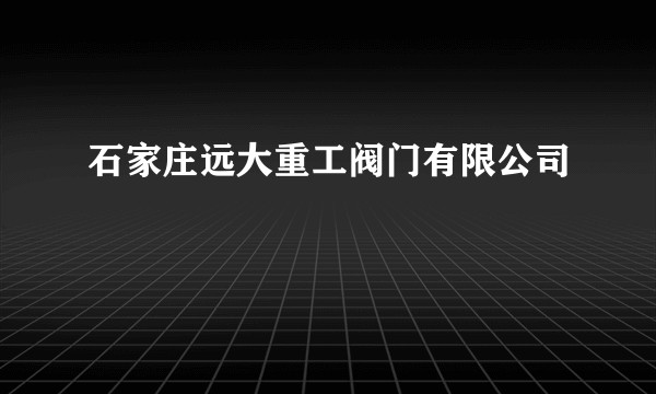 石家庄远大重工阀门有限公司