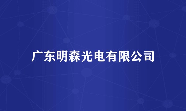 广东明森光电有限公司