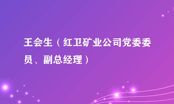 王会生（红卫矿业公司党委委员、副总经理）