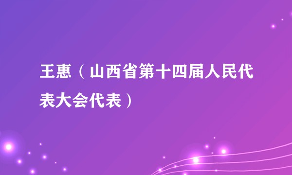 王惠（山西省第十四届人民代表大会代表）