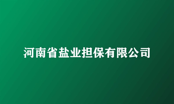 河南省盐业担保有限公司