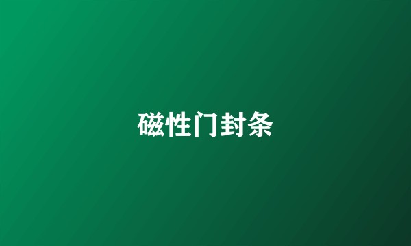 磁性门封条