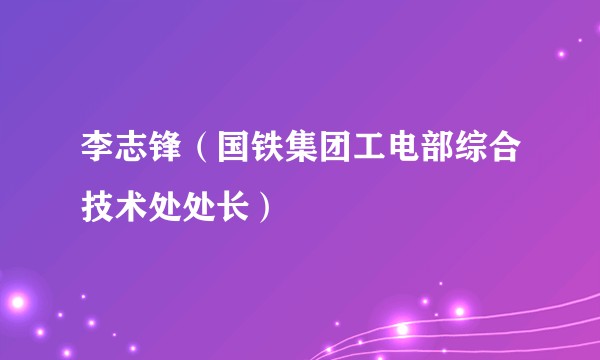 李志锋（国铁集团工电部综合技术处处长）