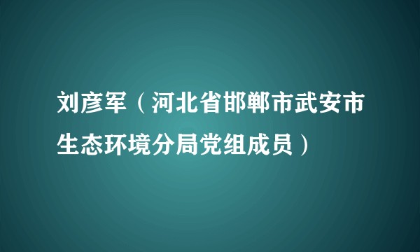 刘彦军（河北省邯郸市武安市生态环境分局党组成员）