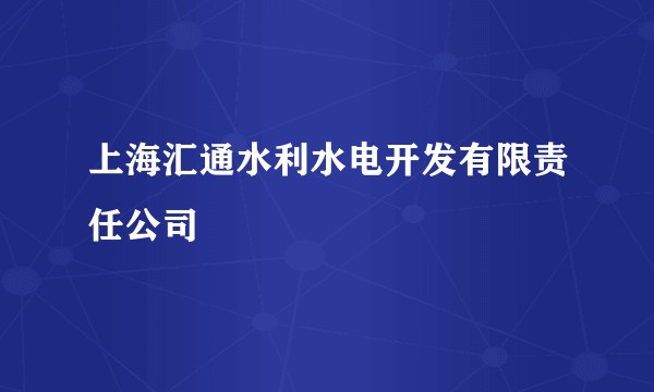 上海汇通水利水电开发有限责任公司