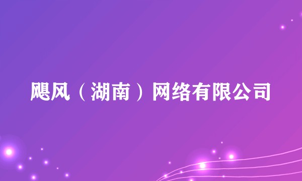 飓风（湖南）网络有限公司
