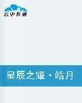 星辰之耀皓月之华