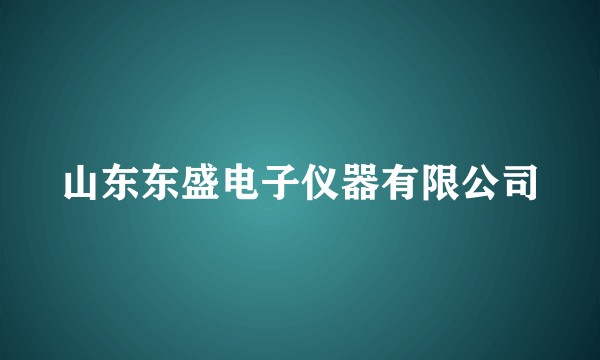 山东东盛电子仪器有限公司