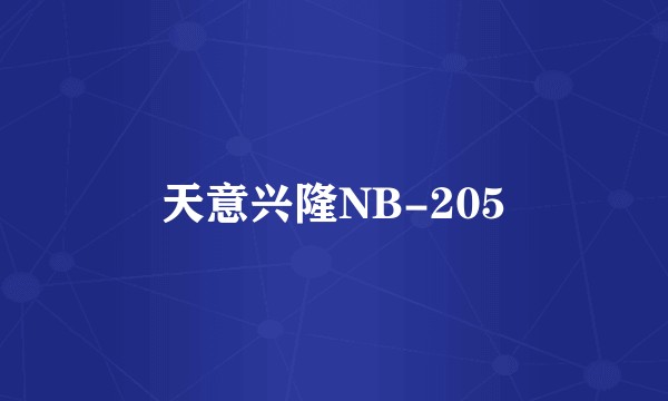 天意兴隆NB-205