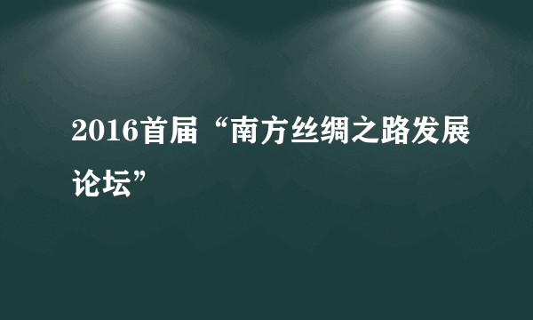 2016首届“南方丝绸之路发展论坛”