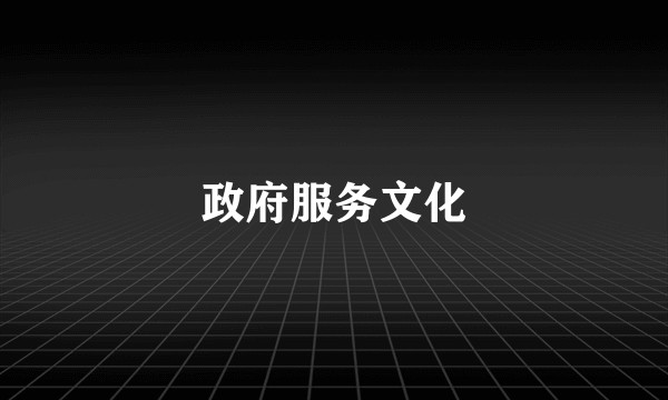 政府服务文化