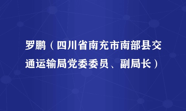 罗鹏（四川省南充市南部县交通运输局党委委员、副局长）