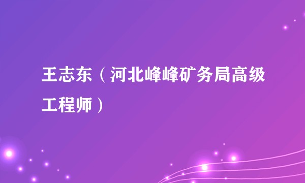 王志东（河北峰峰矿务局高级工程师）