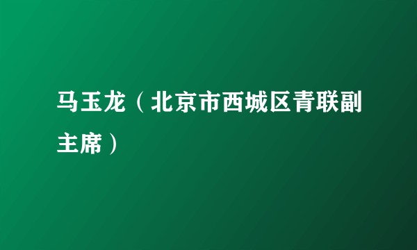 马玉龙（北京市西城区青联副主席）