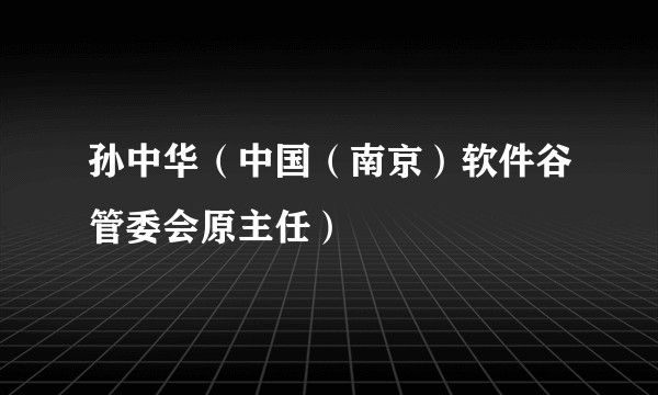 孙中华(中国(南京)软件谷管委会原主任)