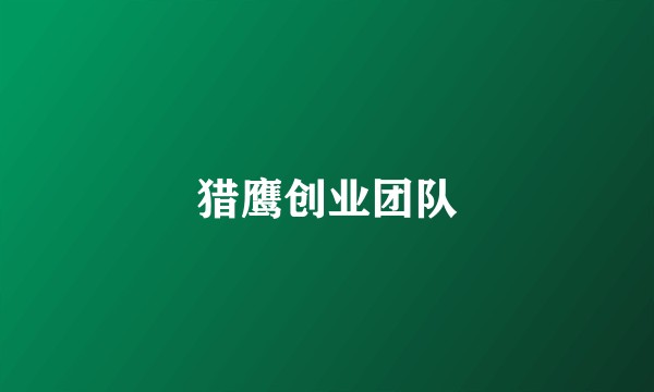 猎鹰创业团队