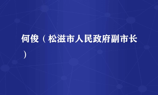 何俊（松滋市人民政府副市长）