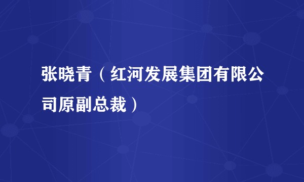 张晓青（红河发展集团有限公司原副总裁）