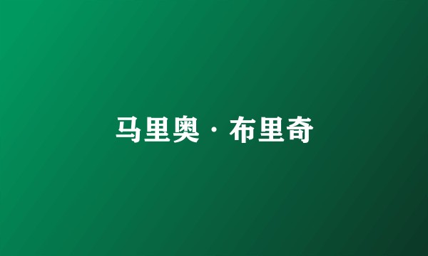 马里奥·布里奇