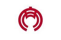 安城市（日本安城市）
