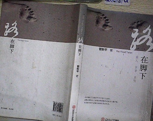 路在脚下（2016年华南理工大学出版社出版的图书）