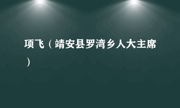 项飞（靖安县罗湾乡人大主席）