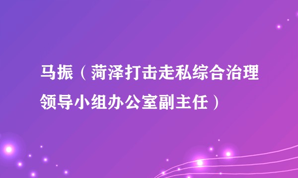 马振（菏泽打击走私综合治理领导小组办公室副主任）