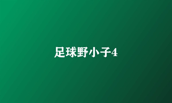 足球野小子4