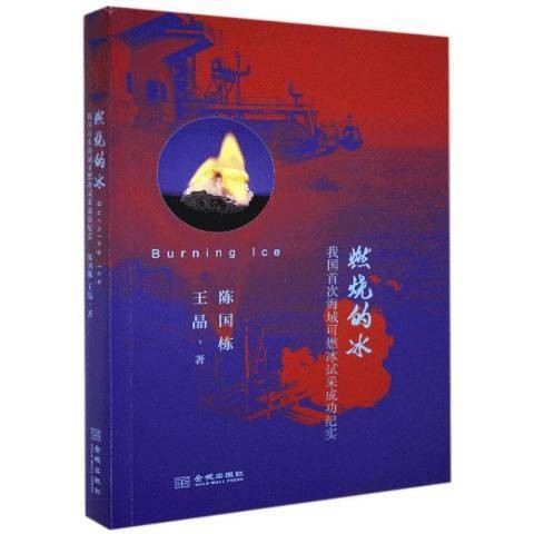 燃烧的冰：我国首次海域可燃冰试采成功纪实