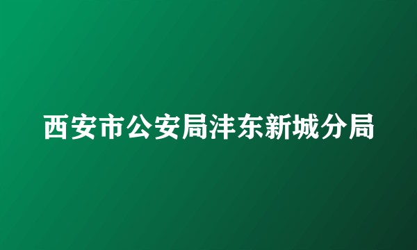 西安市公安局沣东新城分局
