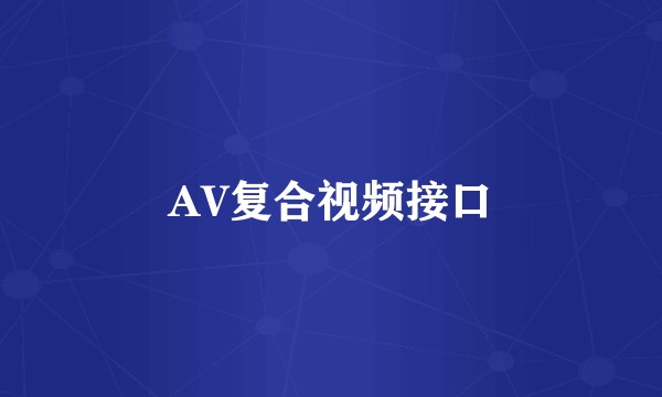 AV复合视频接口