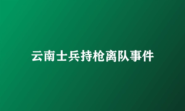 云南士兵持枪离队事件