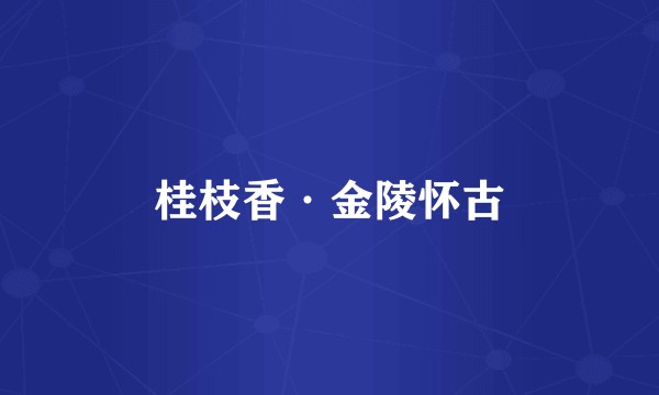 桂枝香·金陵怀古
