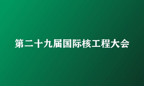 第二十九届国际核工程大会