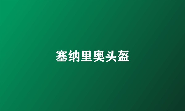 塞纳里奥头盔