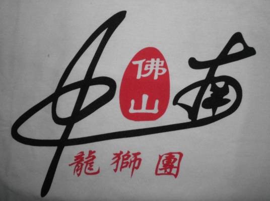 佛山中南龙狮武术团