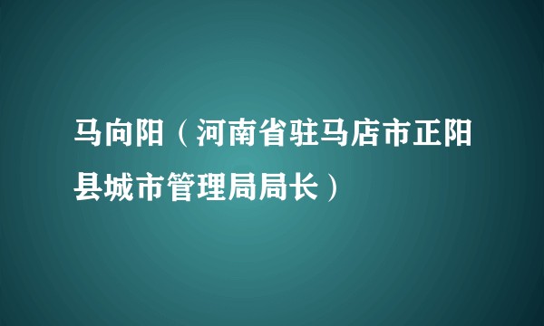 马向阳（河南省驻马店市正阳县城市管理局局长）