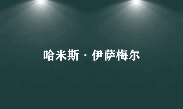 哈米斯·伊萨梅尔