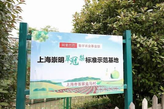 盒马村