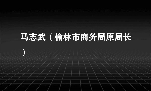 马志武（榆林市商务局原局长）