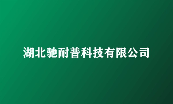 湖北驰耐普科技有限公司