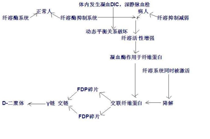 FDP是什么