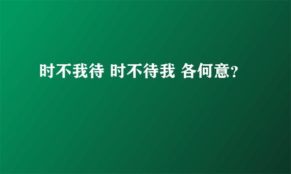 时不我待 时不待我 各何意？