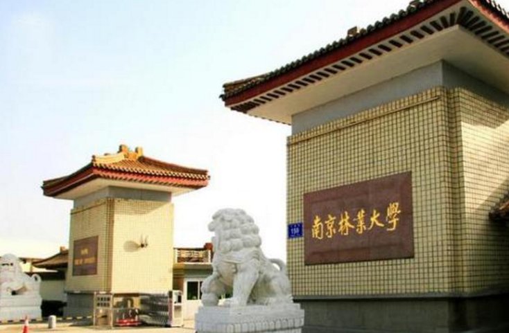 南京林业大学到底是一本还是二本？