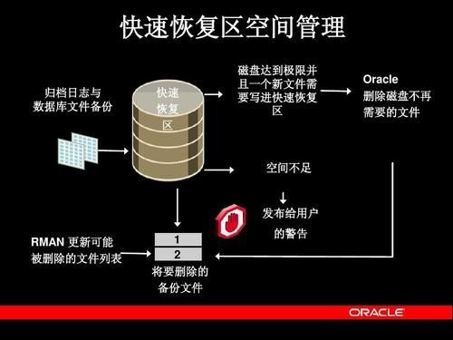 Oracle数据库是外国的，为什么以Oracle(甲骨文)命名呢