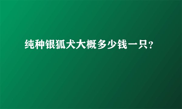 纯种银狐犬大概多少钱一只？