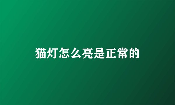 猫灯怎么亮是正常的