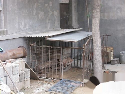 怎样搭建鸡窝