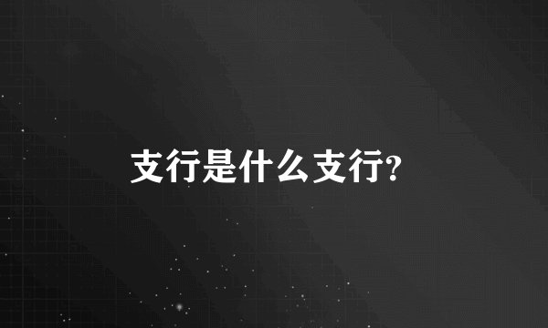 支行是什么支行？